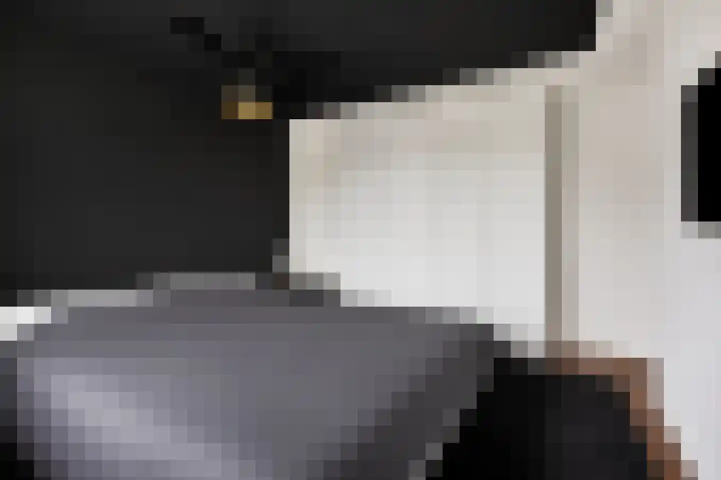 Commissaris Bosch van Drakesteinlaan 5 's-Hertogenbosch thumbnail 18