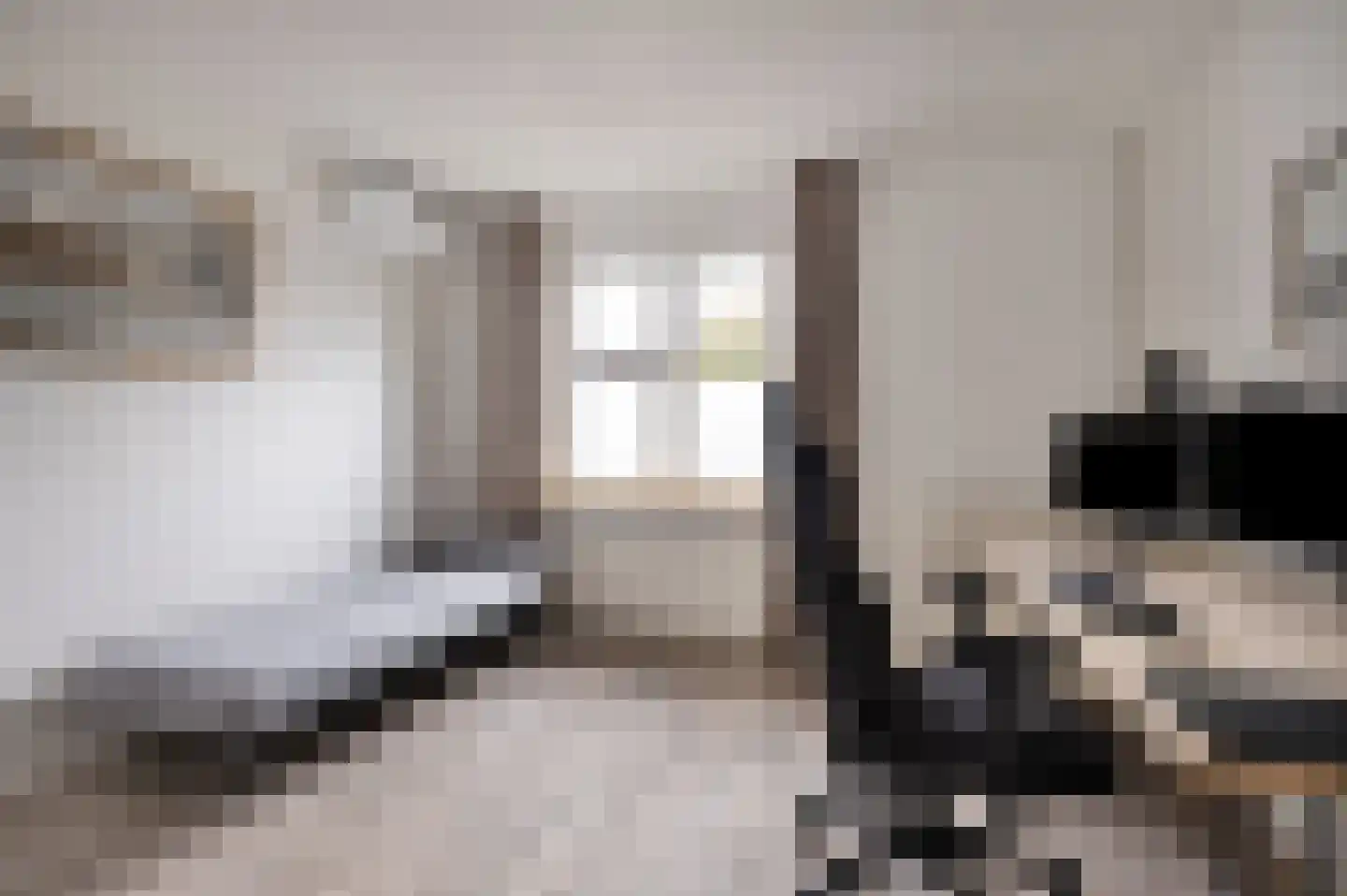 Commissaris Bosch van Drakesteinlaan 5 's-Hertogenbosch thumbnail 19