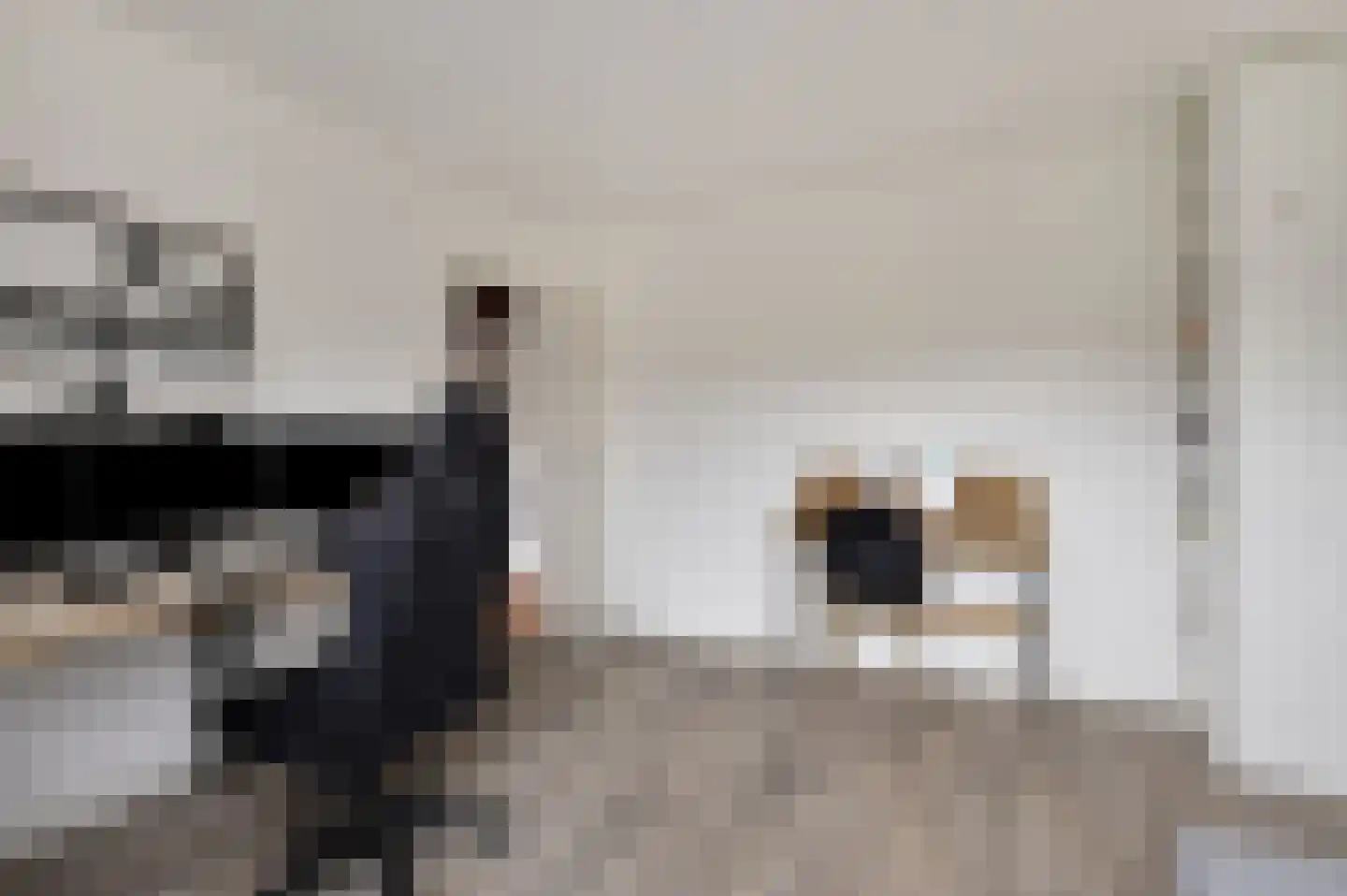 Commissaris Bosch van Drakesteinlaan 5 's-Hertogenbosch thumbnail 20