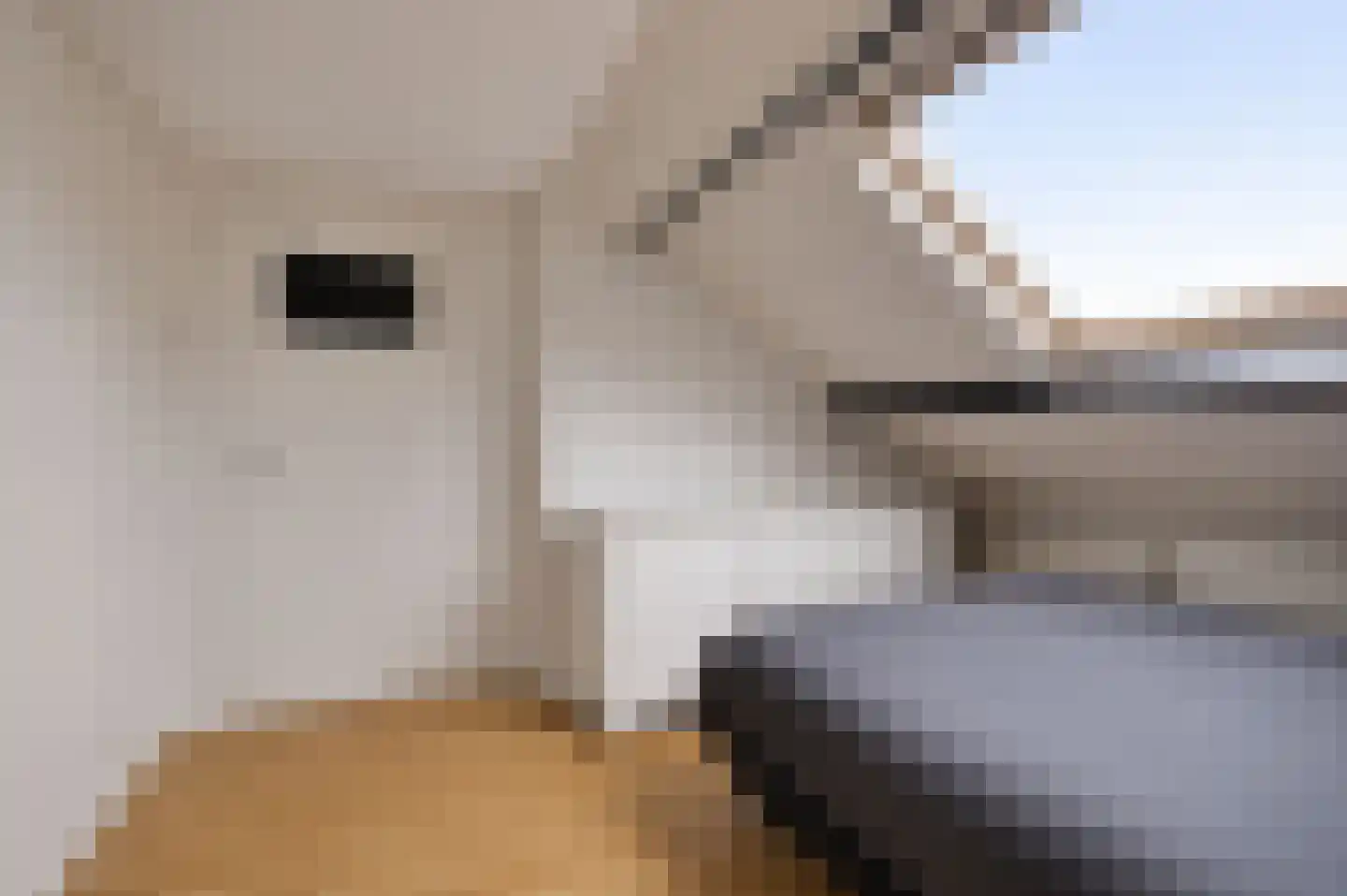 Commissaris Bosch van Drakesteinlaan 5 's-Hertogenbosch thumbnail 25