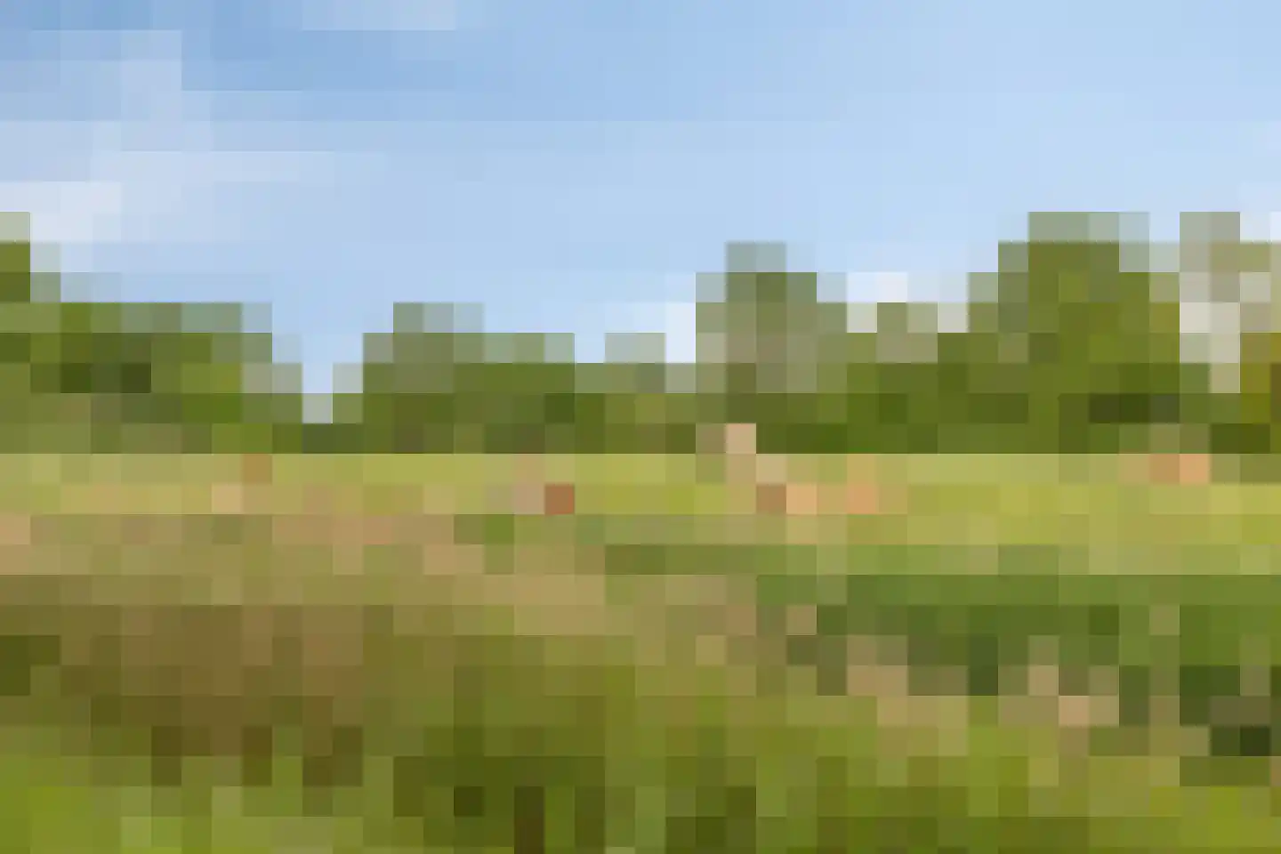 Commissaris Bosch van Drakesteinlaan 5 's-Hertogenbosch thumbnail 30