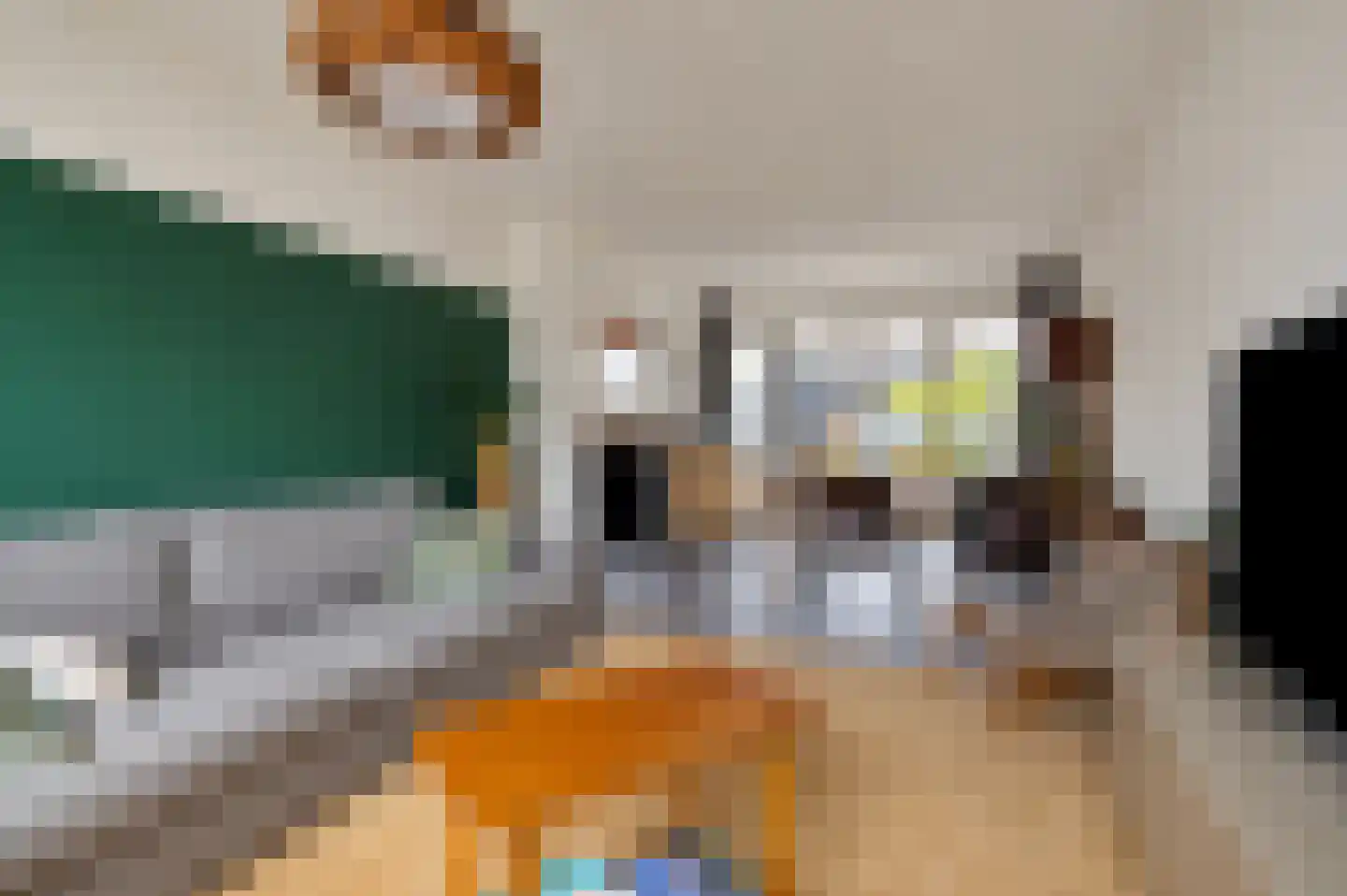 Commissaris Bosch van Drakesteinlaan 5 's-Hertogenbosch thumbnail 5
