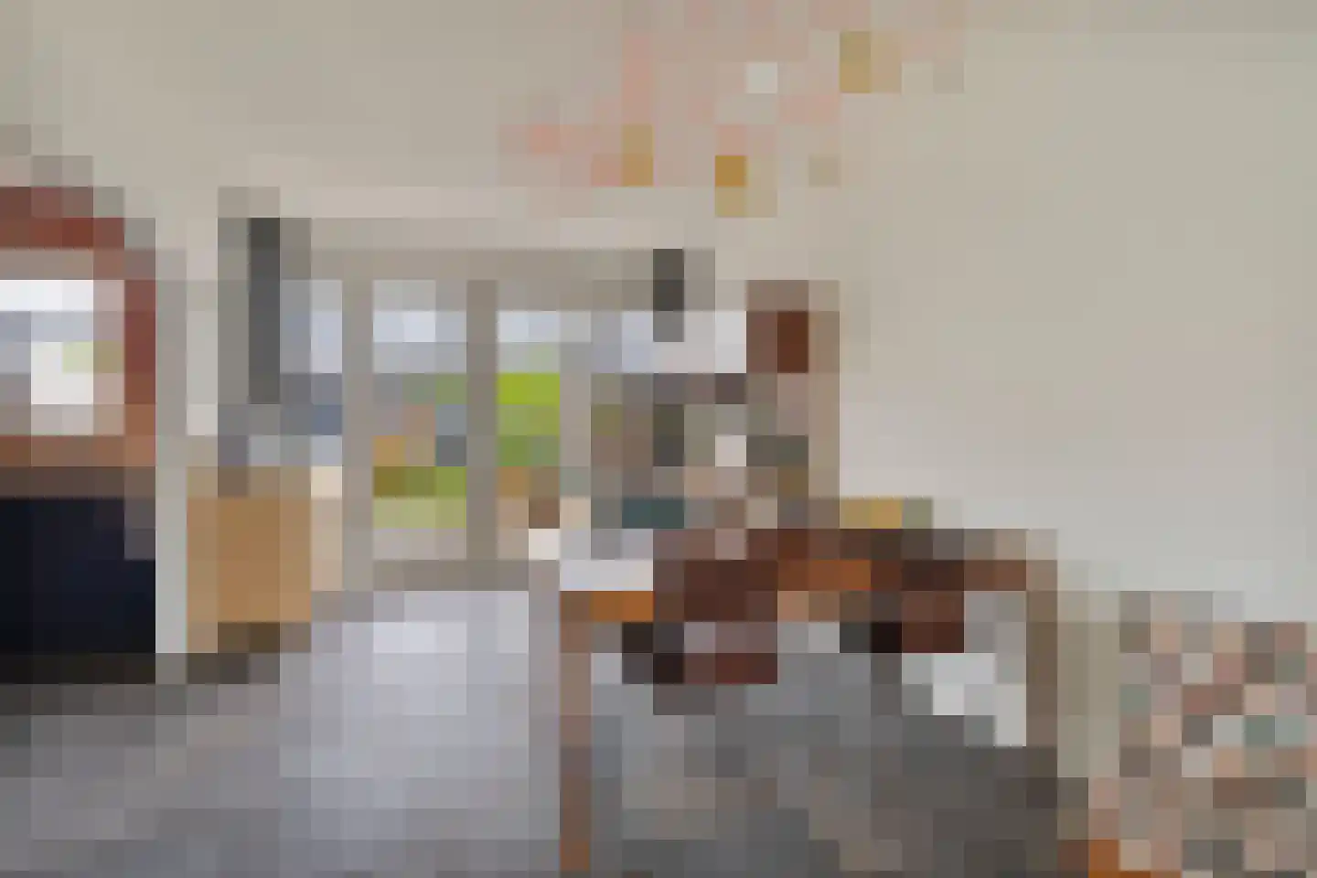 Commissaris Bosch van Drakesteinlaan 5 's-Hertogenbosch thumbnail 6