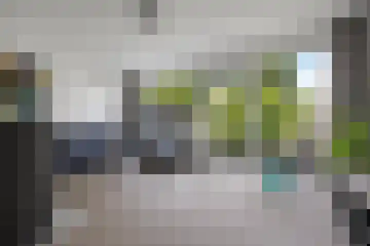 Commissaris De Quaylaan 242 's-Hertogenbosch thumbnail 10