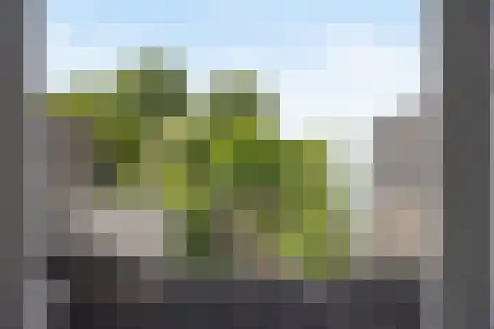 Commissaris De Quaylaan 242 's-Hertogenbosch thumbnail 11