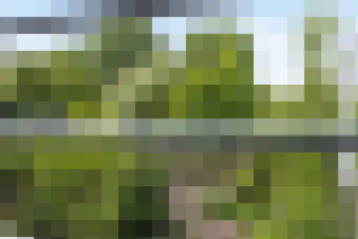 Commissaris De Quaylaan 242 's-Hertogenbosch thumbnail 12