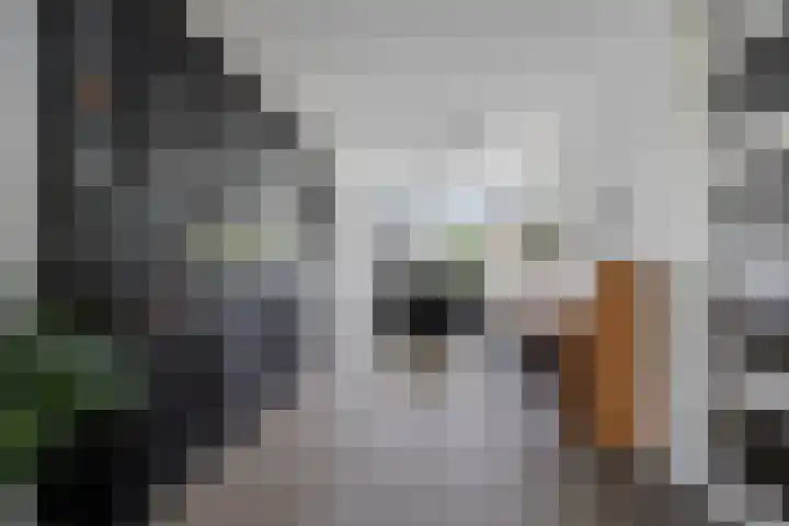 Commissaris De Quaylaan 242 's-Hertogenbosch thumbnail 13
