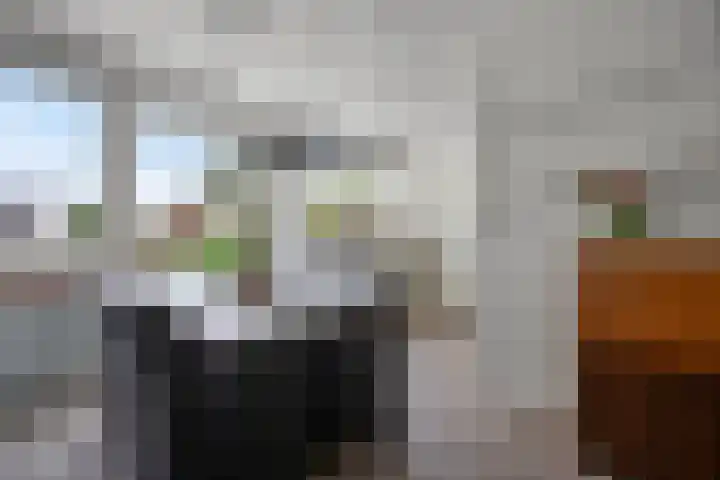 Commissaris De Quaylaan 242 's-Hertogenbosch thumbnail 14