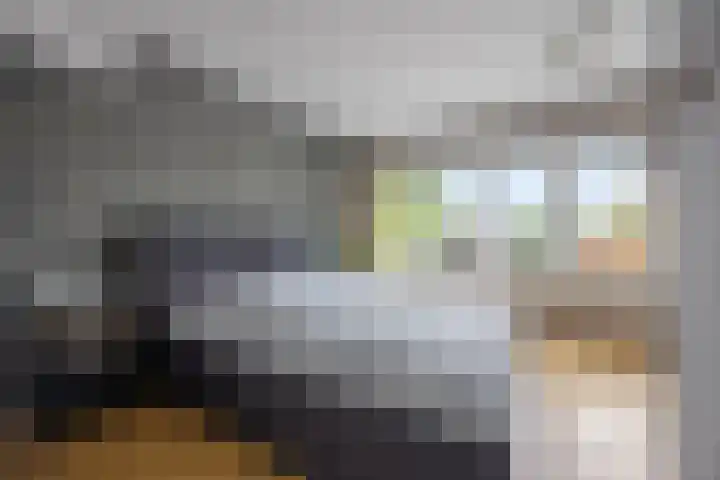Commissaris De Quaylaan 242 's-Hertogenbosch thumbnail 16