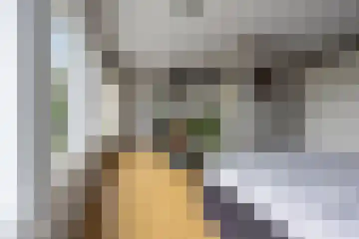 Commissaris De Quaylaan 242 's-Hertogenbosch thumbnail 17