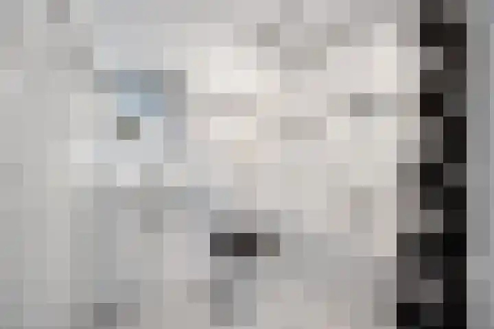 Commissaris De Quaylaan 242 's-Hertogenbosch thumbnail 18