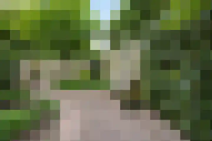 Commissaris De Quaylaan 242 's-Hertogenbosch thumbnail 24