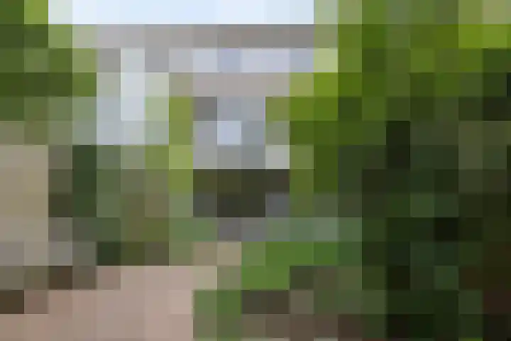 Commissaris De Quaylaan 242 's-Hertogenbosch thumbnail 26