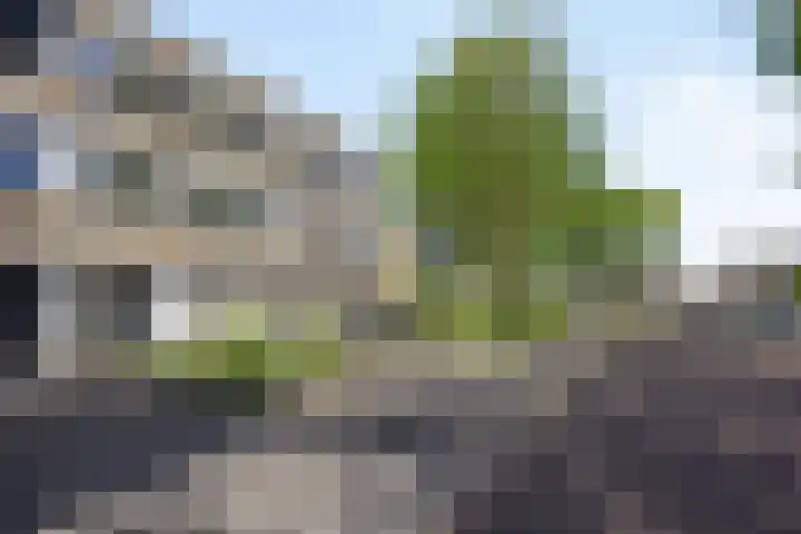Commissaris De Quaylaan 242 's-Hertogenbosch thumbnail 29