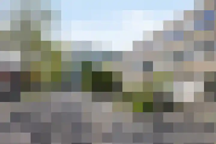 Commissaris De Quaylaan 242 's-Hertogenbosch thumbnail 30
