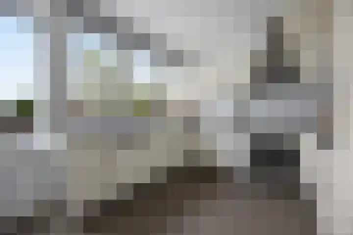 Commissaris De Quaylaan 242 's-Hertogenbosch thumbnail 4