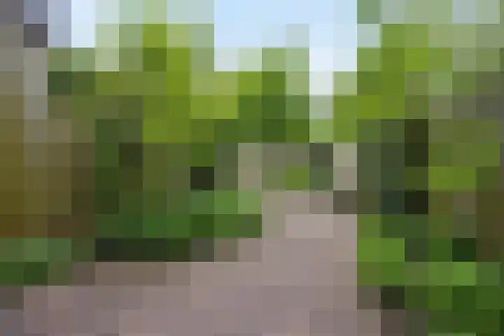 Commissaris De Quaylaan 242 's-Hertogenbosch thumbnail 5