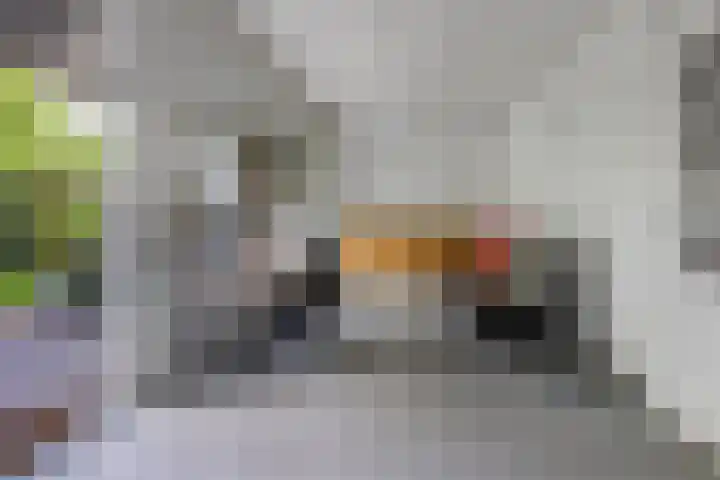 Commissaris De Quaylaan 242 's-Hertogenbosch thumbnail 6
