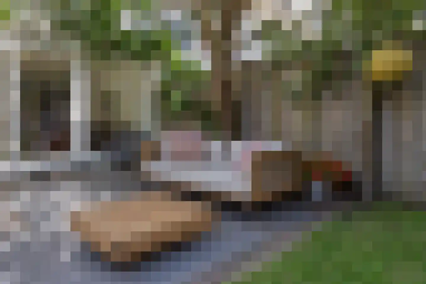 Commissaris De Quaylaan 260 's-Hertogenbosch thumbnail 45