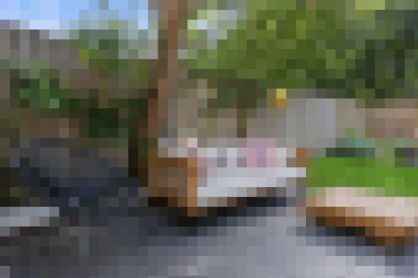 Commissaris De Quaylaan 260 's-Hertogenbosch thumbnail 48