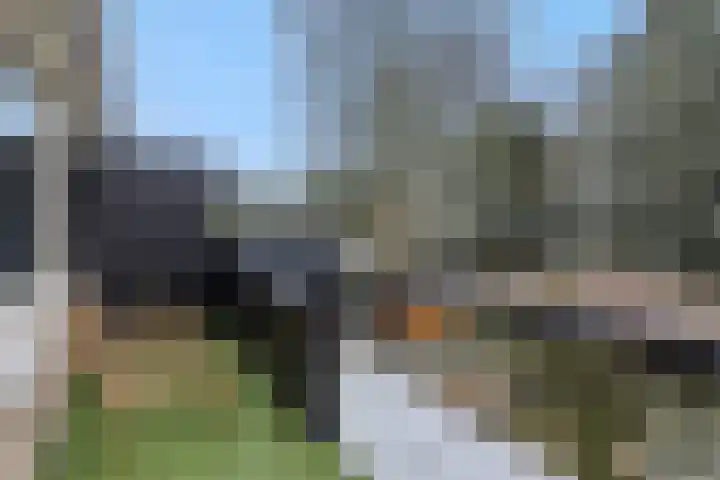 Commissaris De Quaylaan 276 's-Hertogenbosch thumbnail 13