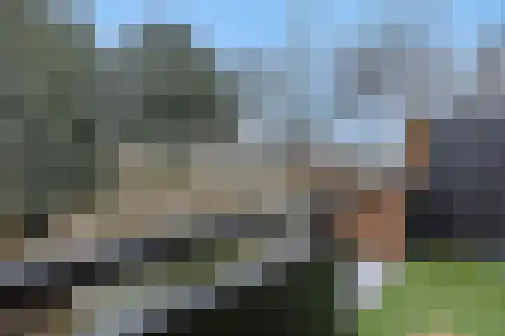 Commissaris De Quaylaan 276 's-Hertogenbosch thumbnail 14