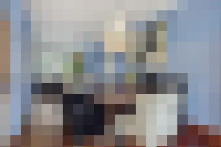 Commissaris De Quaylaan 276 's-Hertogenbosch thumbnail 20