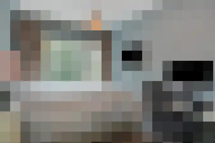 Commissaris De Quaylaan 276 's-Hertogenbosch thumbnail 25