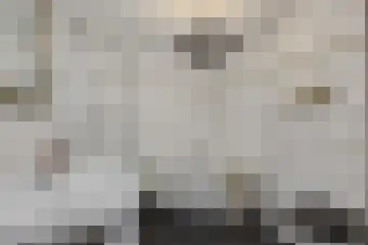 Commissaris De Quaylaan 276 's-Hertogenbosch thumbnail 27