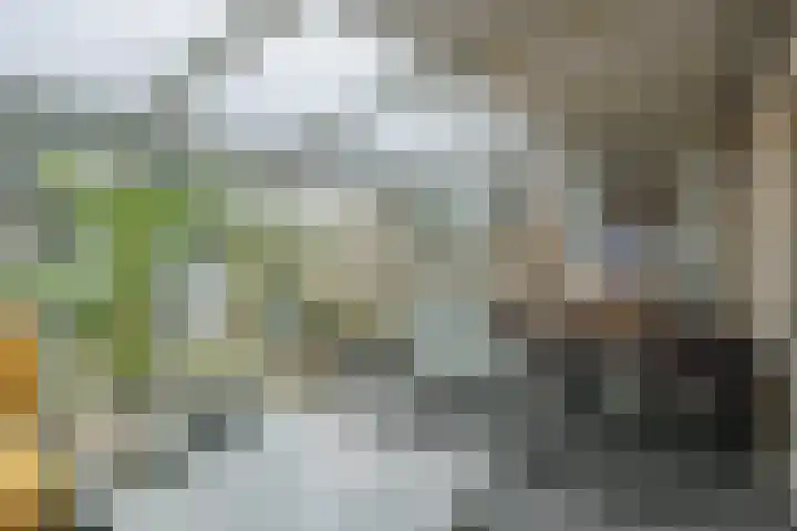 Commissaris De Quaylaan 276 's-Hertogenbosch thumbnail 29