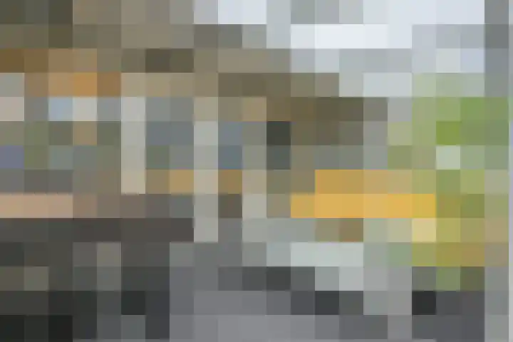 Commissaris De Quaylaan 276 's-Hertogenbosch thumbnail 30