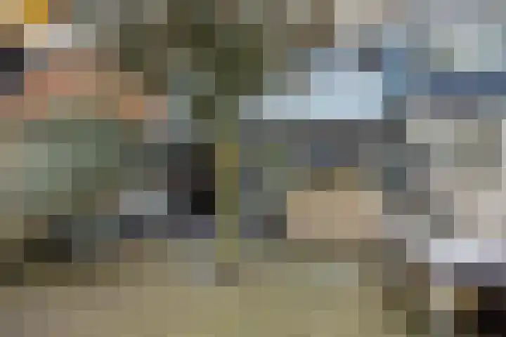 Commissaris De Quaylaan 276 's-Hertogenbosch thumbnail 32