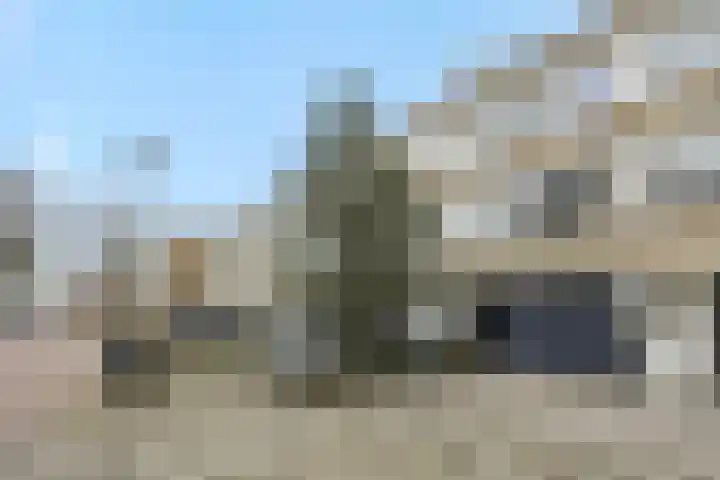 Commissaris De Quaylaan 276 's-Hertogenbosch thumbnail 34