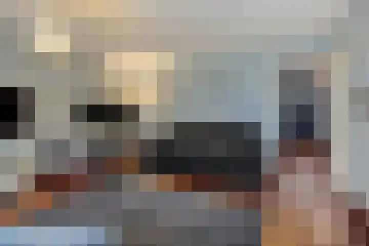 Commissaris De Quaylaan 276 's-Hertogenbosch thumbnail 5