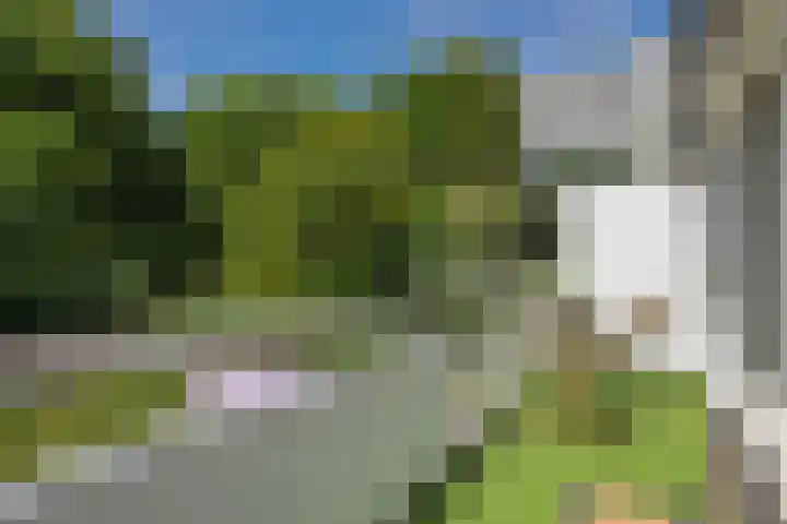 Commissaris De Quaylaan 292 's-Hertogenbosch thumbnail 10