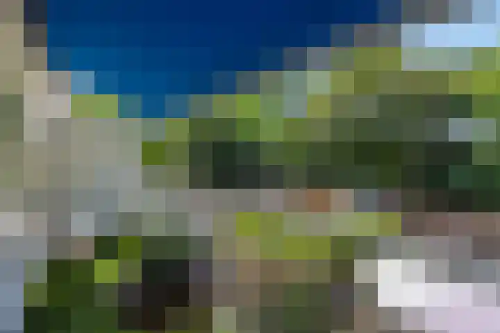 Commissaris De Quaylaan 292 's-Hertogenbosch thumbnail 11