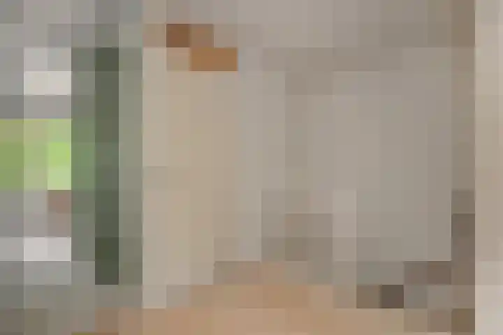 Commissaris De Quaylaan 292 's-Hertogenbosch thumbnail 20