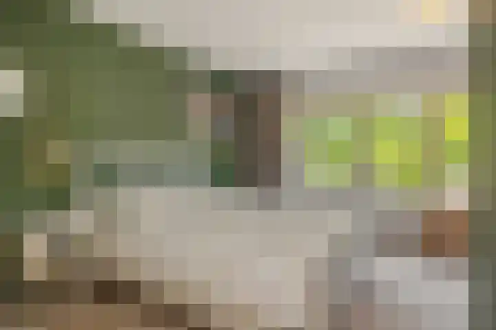 Commissaris De Quaylaan 292 's-Hertogenbosch thumbnail 21