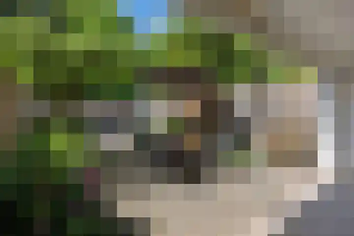 Commissaris De Quaylaan 292 's-Hertogenbosch thumbnail 28