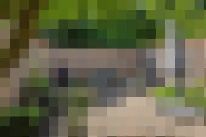Commissaris De Quaylaan 292 's-Hertogenbosch thumbnail 30