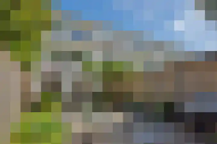 Commissaris De Quaylaan 292 's-Hertogenbosch thumbnail 31