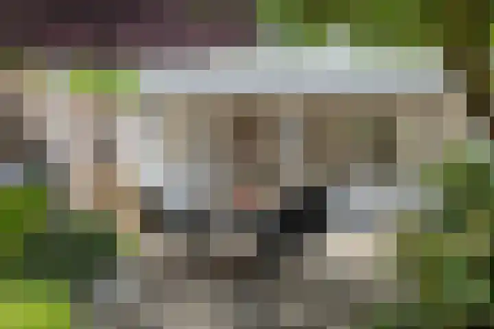 Commissaris De Quaylaan 292 's-Hertogenbosch thumbnail 32