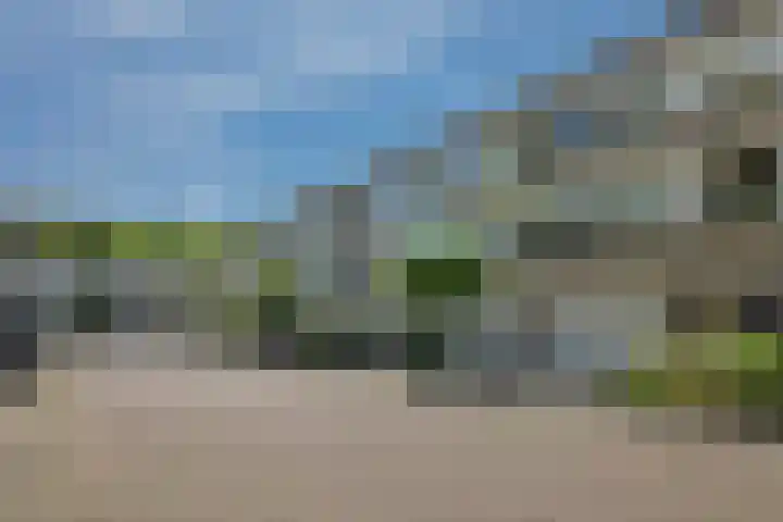 Commissaris De Quaylaan 292 's-Hertogenbosch thumbnail 34