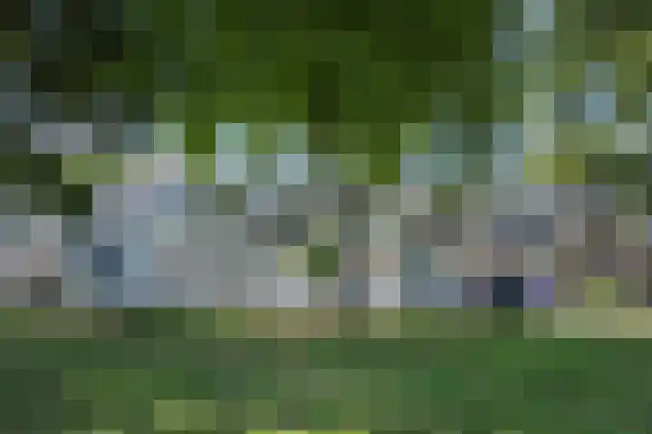 Commissaris De Quaylaan 292 's-Hertogenbosch thumbnail 35