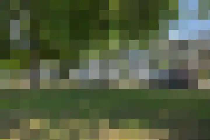 Commissaris De Quaylaan 292 's-Hertogenbosch thumbnail 36