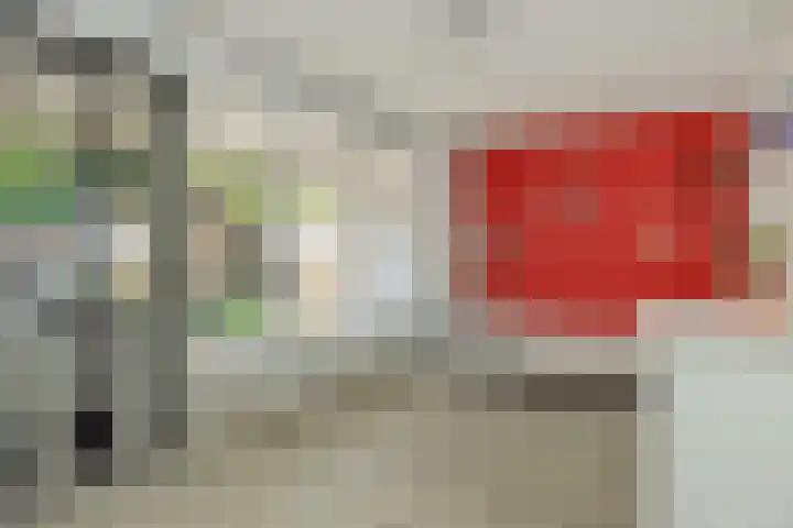 Commissaris De Quaylaan 292 's-Hertogenbosch thumbnail 4