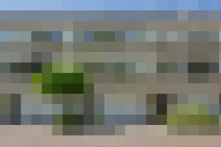 Commissaris De Quaylaan 292 's-Hertogenbosch thumbnail 42