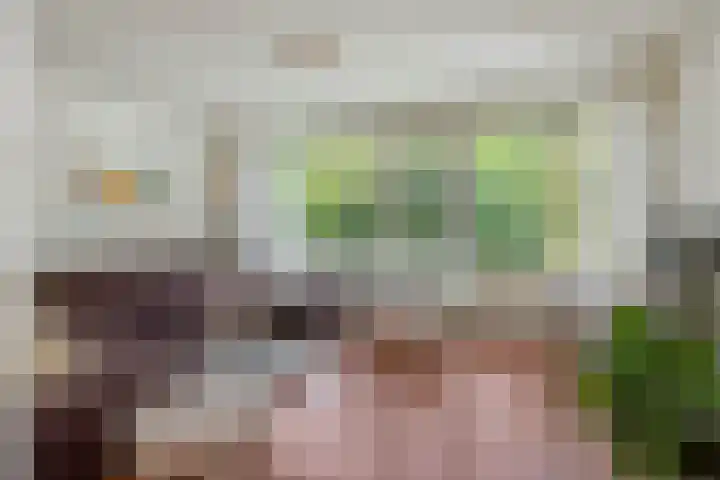 Commissaris De Quaylaan 292 's-Hertogenbosch thumbnail 7
