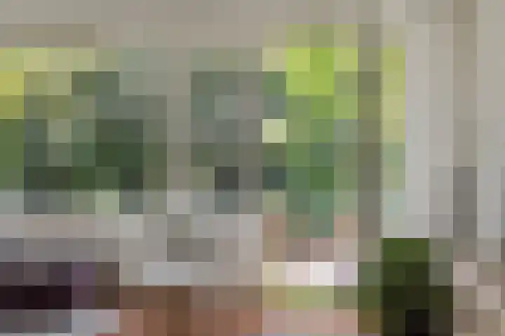 Commissaris De Quaylaan 292 's-Hertogenbosch thumbnail 8