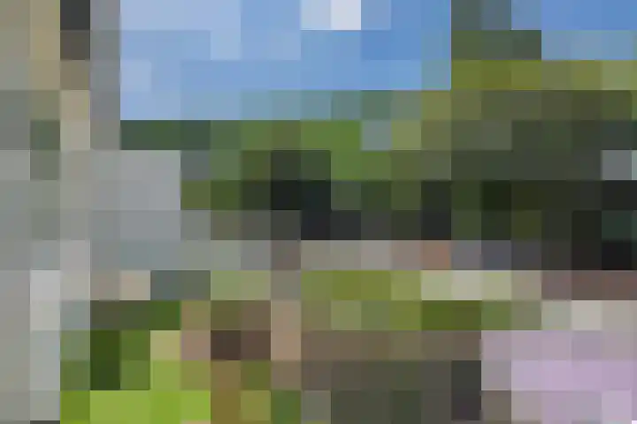Commissaris De Quaylaan 292 's-Hertogenbosch thumbnail 9